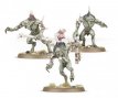 Flesh-eater Courts Crypt Flayers