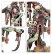 Flesh-Eater Courts Marrowscroll Herald