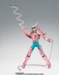 Saint Cloth Myth Andromeda Shun (20th Anniversary V1 Bronze Cloth)
